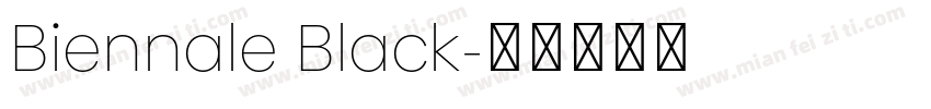 Biennale Black字体转换